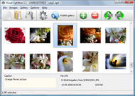 pop window examples 